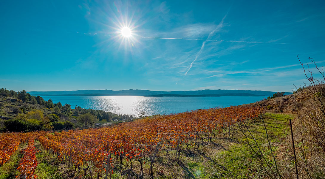 höstens mat och vin i oktober