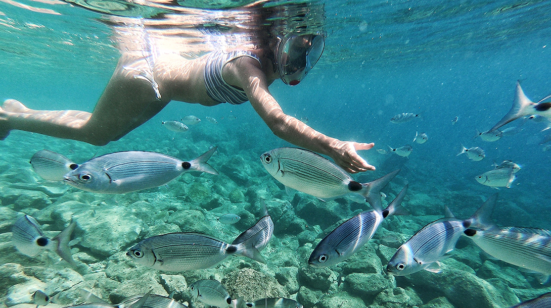 fun activities on a yacht charter croatia